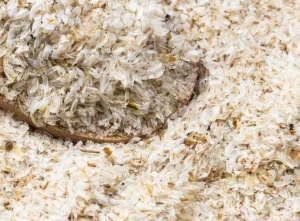Psyllium-Husk